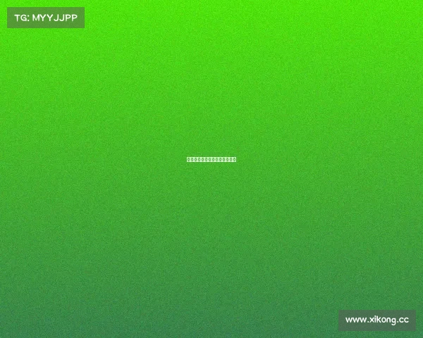 速滑女子赛事、女子速滑锦标赛